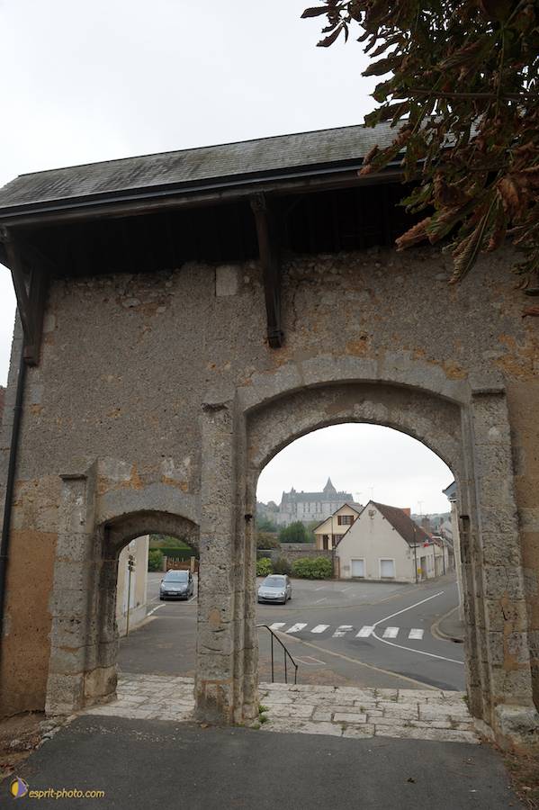 Nom de l'image : D30080500_1_(c)Norbert-JUNG — Description :